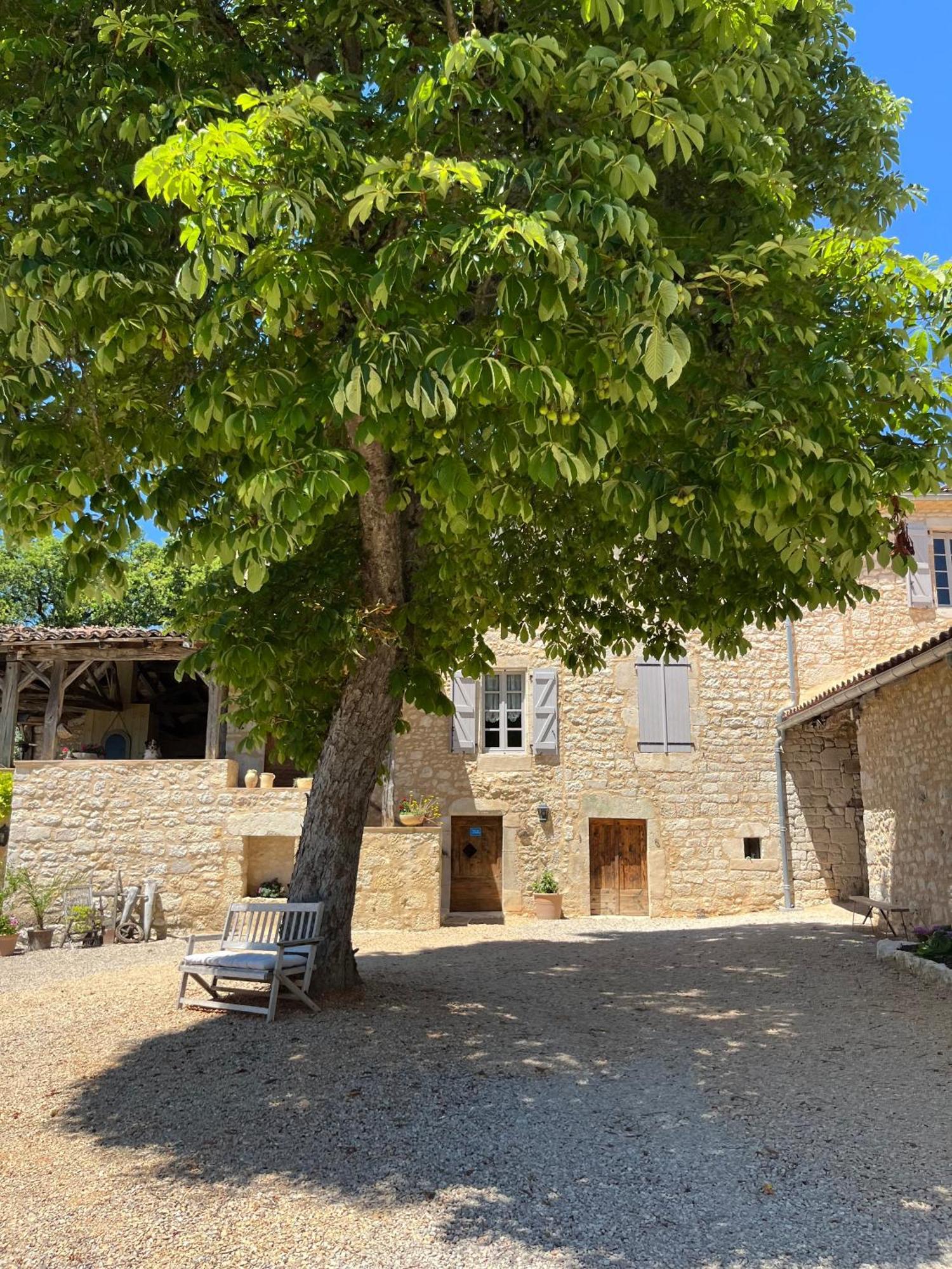 Maison D'Hotes De La Boissiere Andillac Exteriér fotografie